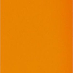 Meet your Posher, Ariel